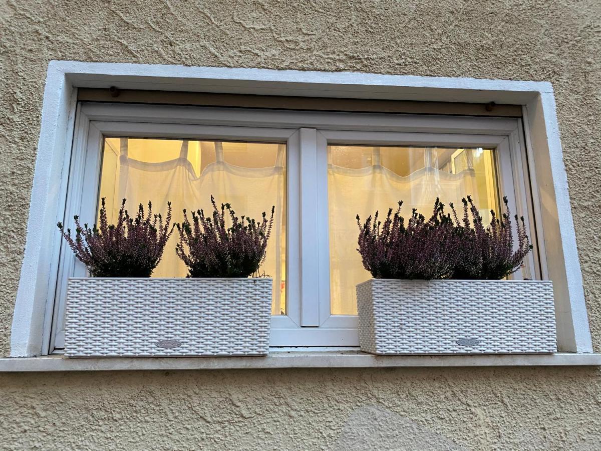 Samy S Home 1 Free Parking Wi-Fi Bozen Buitenkant foto